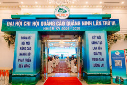 Đại hội chi hội quảng cáo quảng ninh Đại hội chi hội quảng cáo quảng ninh