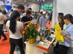tân tiến thành 3t miền nam triển lãm quảng cáo vietad 2026 tân tiến thành 3t miền nam triển lãm quảng cáo vietad 2026